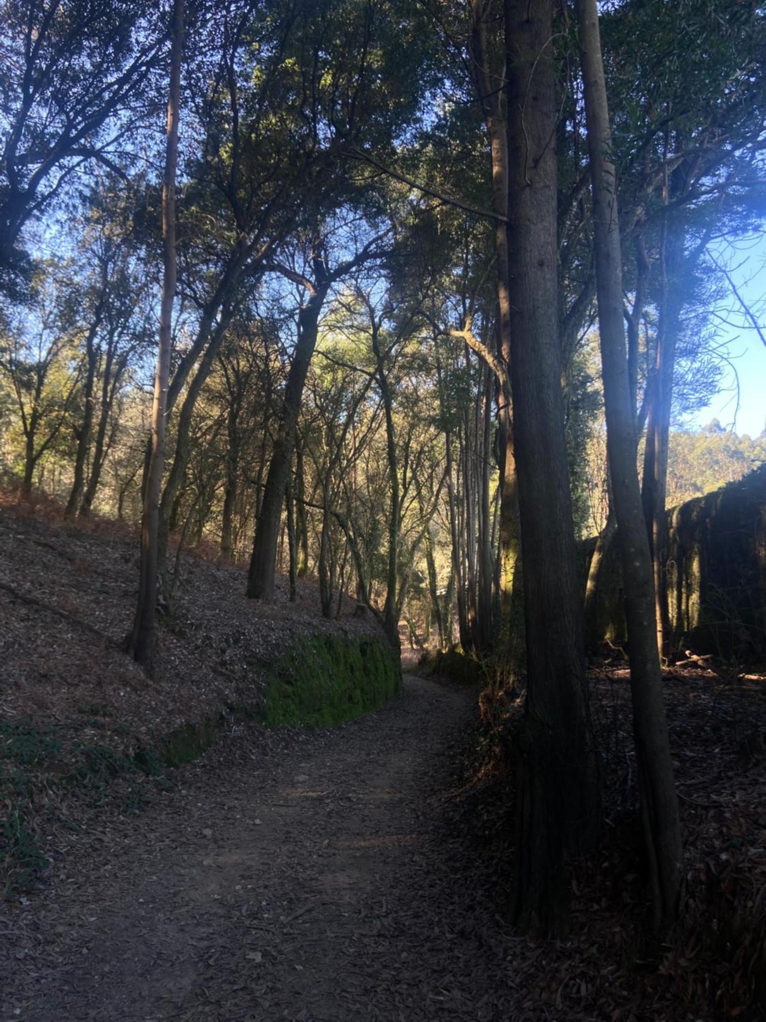 Quinta Do Senhor Villa Braga Kültér fotó