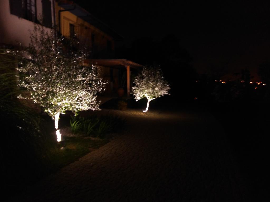 Quinta Do Senhor Villa Braga Kültér fotó